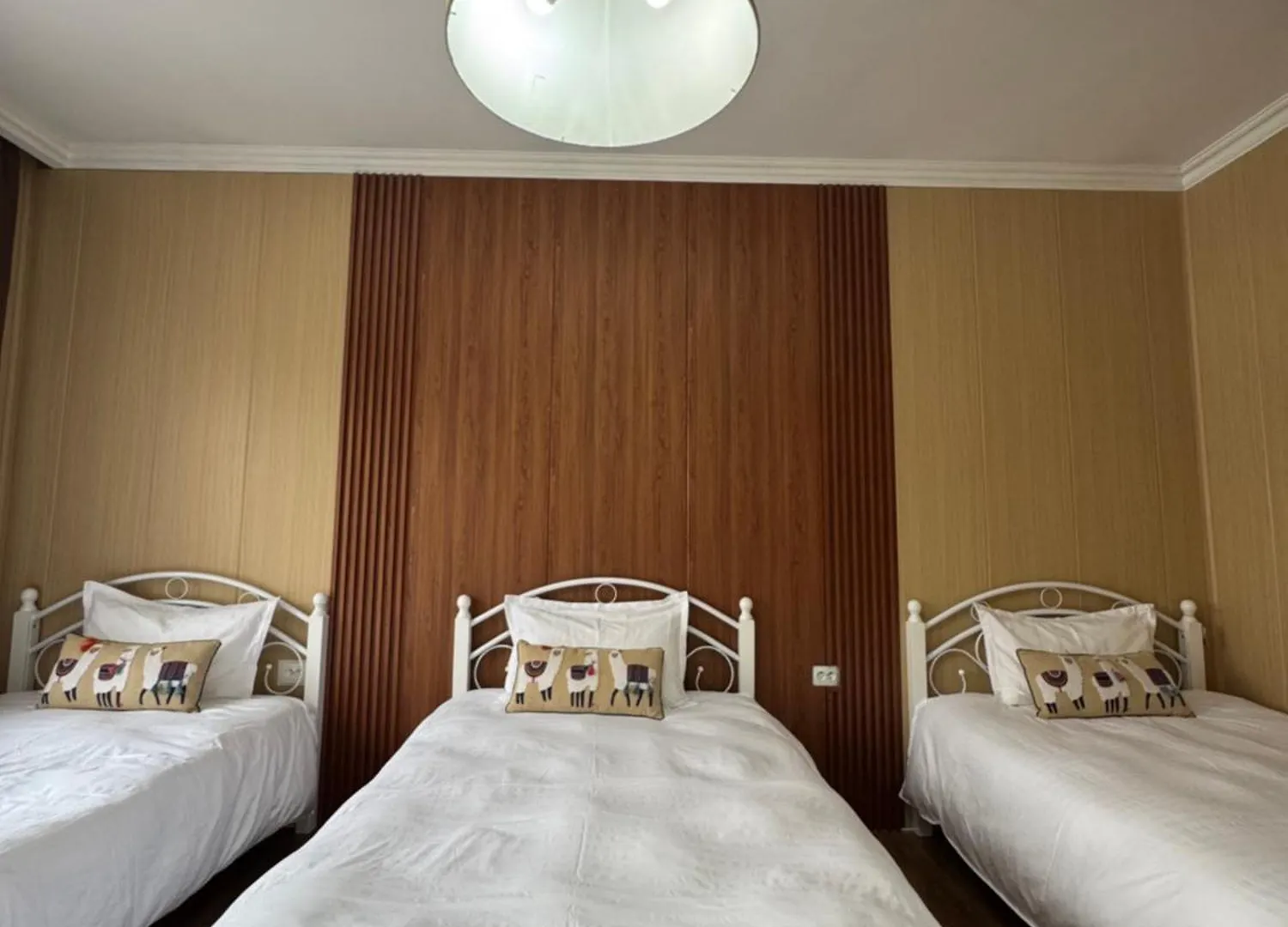 Nomad777 Apartment Almaty Homestay